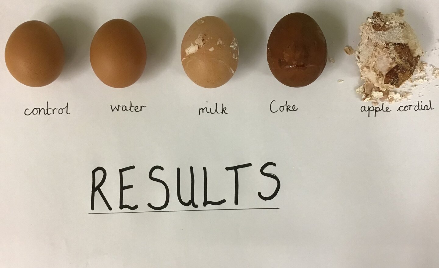 Image of  Interesting Eggsperiment!